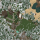popo117-14885306000-lOl.PNG