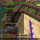 Cats_Lang-15078081290-2017-10-12_20.52.02.png